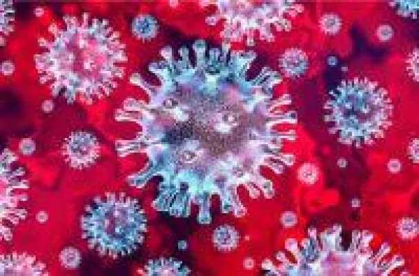 Der Coronavirus ( COVID-19) hält uns fest in seinem Bann Bild: Der Coronavirus ( COVID-19) hält uns fest in seinem Bann