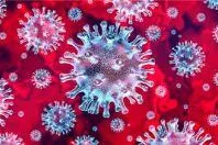 Der Coronavirus ( COVID-19) hält uns fest in seinem Bann Bild: Der Coronavirus ( COVID-19) hält uns fest in seinem Bann