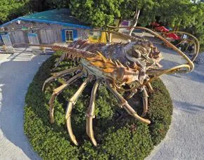 Aber bitte mit Butter: Beim Key West Lobsterfest ist die Languste der kulinarische Star Bild: Aber bitte mit Butter: Beim Key West Lobsterfest ist die Languste der kulinarische Star