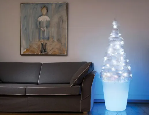 Bild: Moree´s Plantpot erhellt den Weihnachtsbaum vom Stamm bis in die Spitze