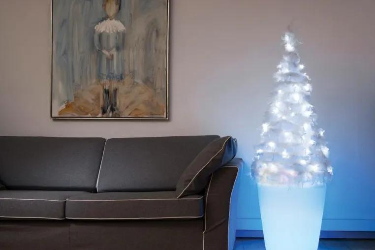 Bild: Moree´s Plantpot erhellt den Weihnachtsbaum vom Stamm bis in die Spitze