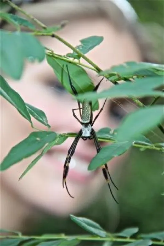 Martina Hirschmeier gefriert das Blut in den Adern beim Anblick dieser Spinne.