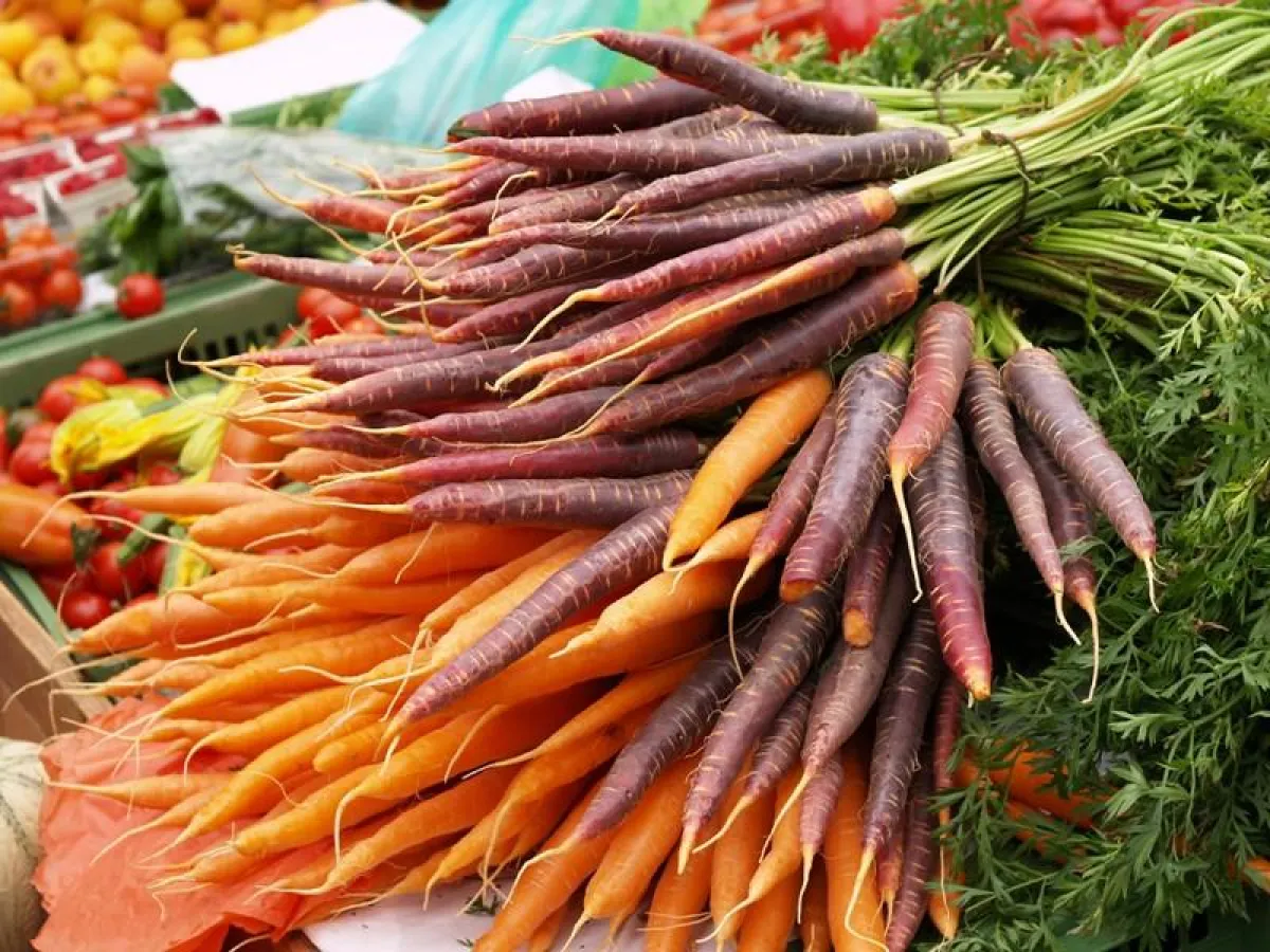 Gemüse - am besten frisch vom Erzeuger (Foto: Proplanta)