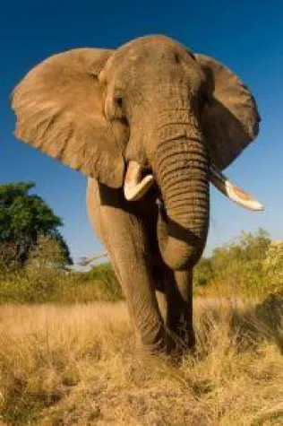 Bild: Blick ins Herz Südafrikas