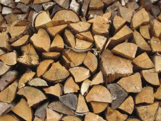 Bild: Internationale Grüne Woche: Energielieferant Holz senkt CO2-Ausstoß in Deutschland um 13,8 Mio. Tonnen