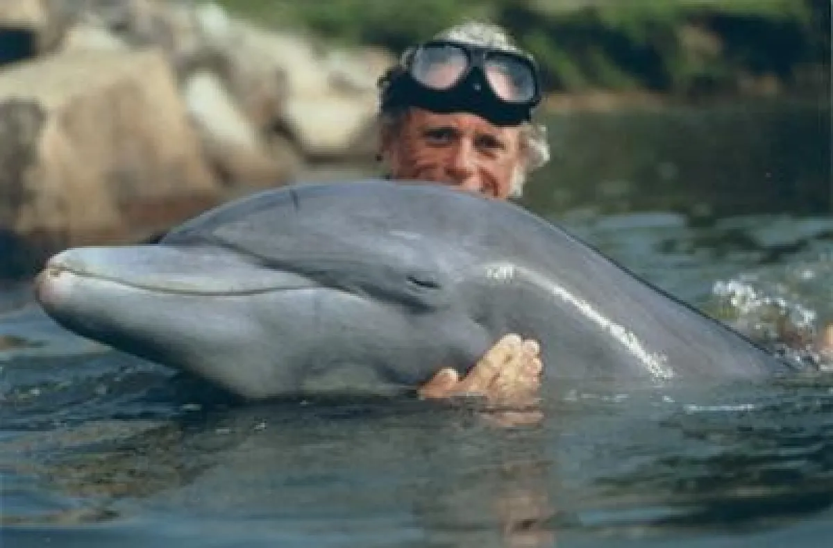 Flipper-Trainer Richard O'Barry