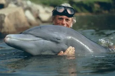 Delfinarium in Pananma gestoppt - Tierschützer planen Aktionen in Deutschland Bild: Delfinarium in Pananma gestoppt - Tierschützer planen Aktionen in Deutschland
