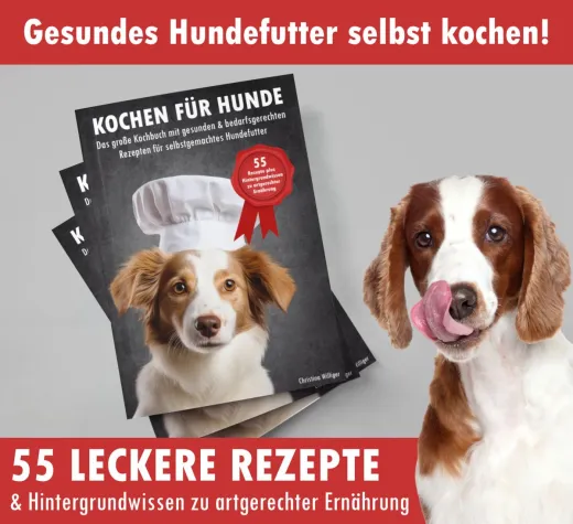 Bild: Kochen für Hunde: Selbstgemachtes Hundefutter statt Fertigfutter