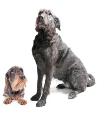 Bild: Marketing für den Mittelstand - Wie kleinere Unternehmen ihre Vorteile clever nutzen können