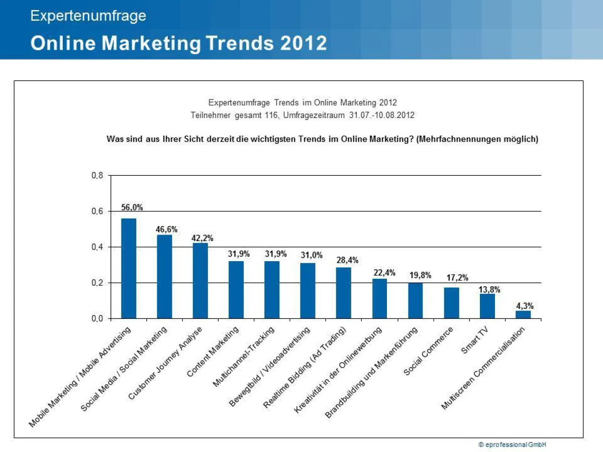 Online-Marketing-Trends 2012