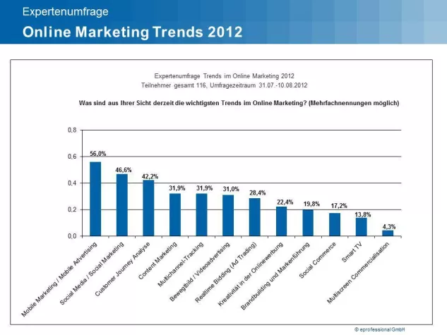 Bild: Umfrage zu den Trends im Online-Marketing 2012