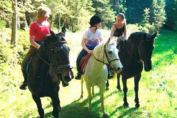 Bild: Kärnten: Neu auf dem Pilsachhof – Leben und Reiten in Harmonie