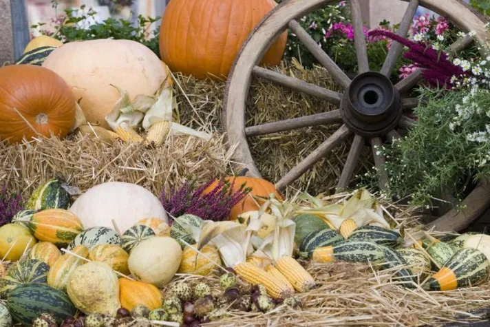 Bild: „Tag der Regionen“ – Landidyll Hotels machen sich stark für das Klima