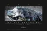 Fotokalender 2013: Wildes Amazonien Bild: Fotokalender 2013: Wildes Amazonien