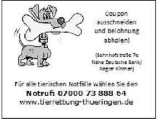 Bild: Tierrettung Thüringen e. V. setzt Hunde aus