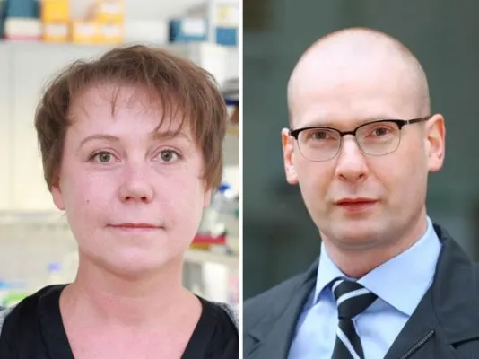 Deutsche Krebshilfe unterstützt Forschung zu epigenetischen Regulatoren in B- und T-Zell Lymphomen Bild: Deutsche Krebshilfe unterstützt Forschung zu epigenetischen Regulatoren in B- und T-Zell Lymphomen