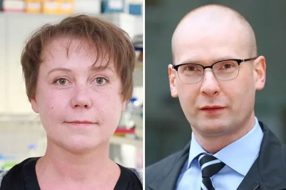 Bild: Deutsche Krebshilfe unterstützt Forschung zu epigenetischen Regulatoren in B- und T-Zell Lymphomen