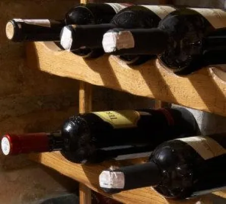 Bild: Wohin mit meinem Weinkeller – Eine wahre Geschichte