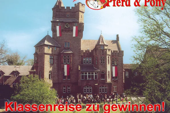 dtp verlost Klassenreise zu einem Ponyschloss Bild: dtp verlost Klassenreise zu einem Ponyschloss