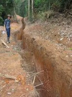 Bild: Der Goldpreis könnte nach oben klettern