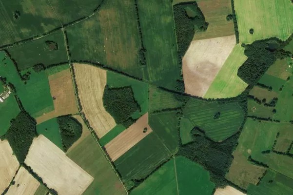 Bild: Auftakt für DFG-Projekt: Der Vermehrung von Waldbodenpflanzen auf der Spur