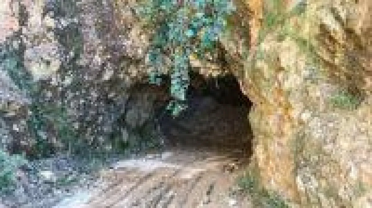 Quelle: Vizsla Resources