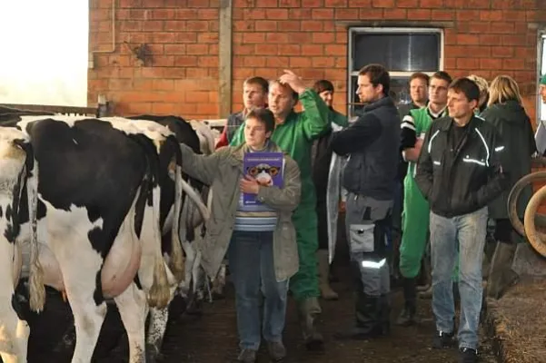 Bild: Das Wissen der Tierärzte um die Milchvieh-Fütterung ist Kapital für Tiergesundheit und Ökonomie des Betriebes