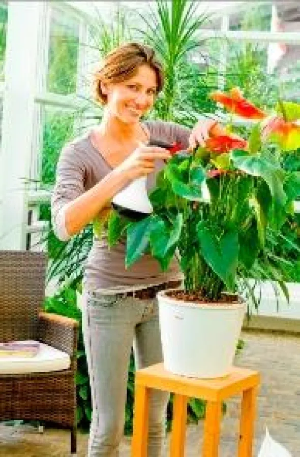 Pumpsprüher mit Mehrfachnutzen: Die Gloria Design Handsprüher eignen sich auch zum gießen ? und sehen super aus.