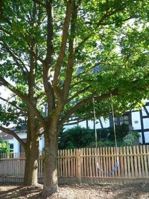 Westerwaldsteig neu eröffnet: Geheimtipp für Deutschlands Wanderfreunde Bild: Westerwaldsteig neu eröffnet: Geheimtipp für Deutschlands Wanderfreunde