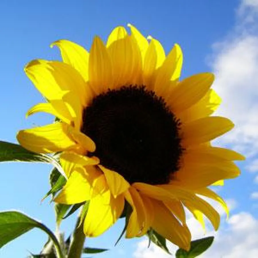 Bildquelle: photocase.com