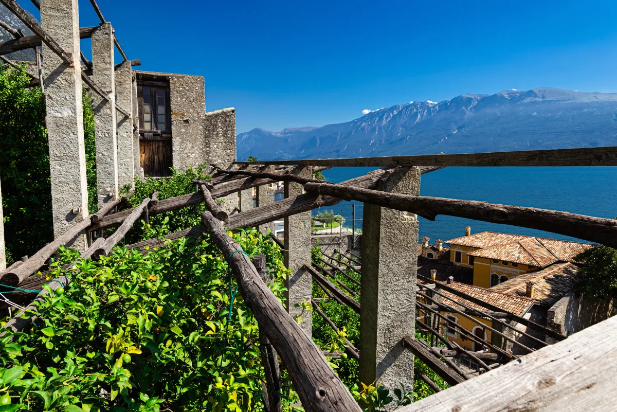 Limonaia am Gardasee, Lombardei (© Roberto Maggioni)