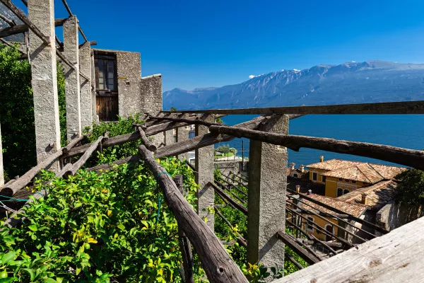 Bild: Frühling in der Lombardei: Radeln, wandern und Zitronen schauen