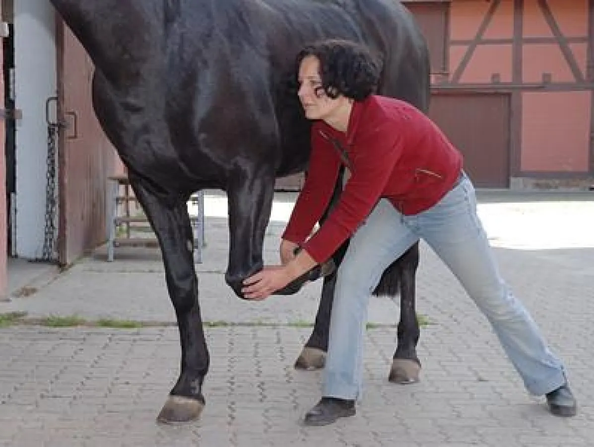 Osteopathische Untersuchung des Karpalgelenks