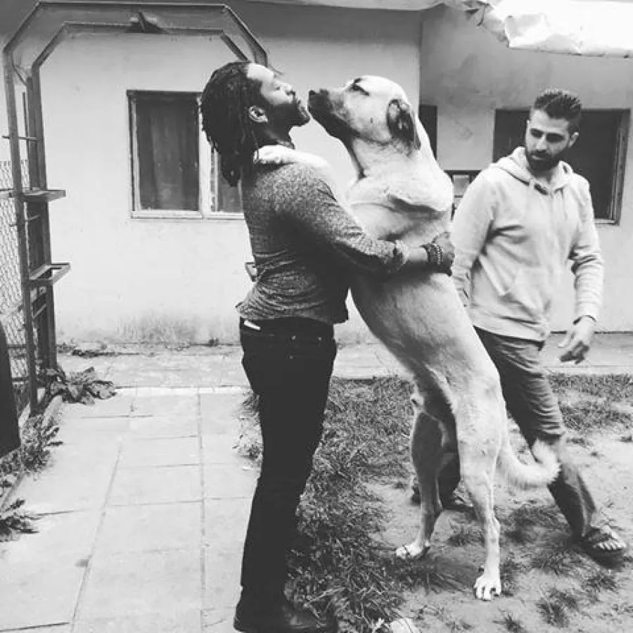 Der Wolfkeeper aus den USA auf Tour ? Berlin 5.0 DOGA!