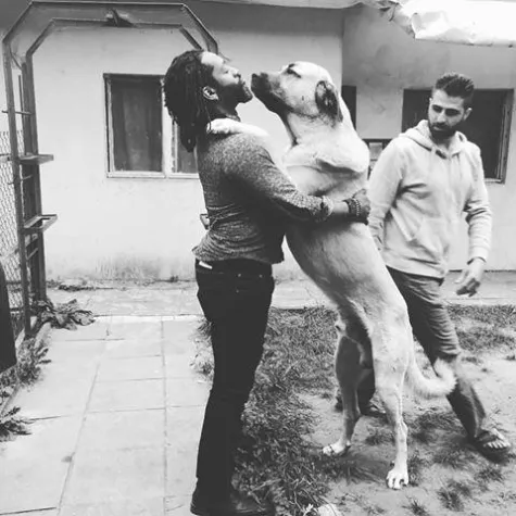 Bild: Der Wolfkeeper aus den USA auf Tour – Berlin 5.0 DOGA!