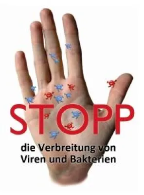Bild: Schweinegrippe-Pandemie - Jeder kann vorbeugen