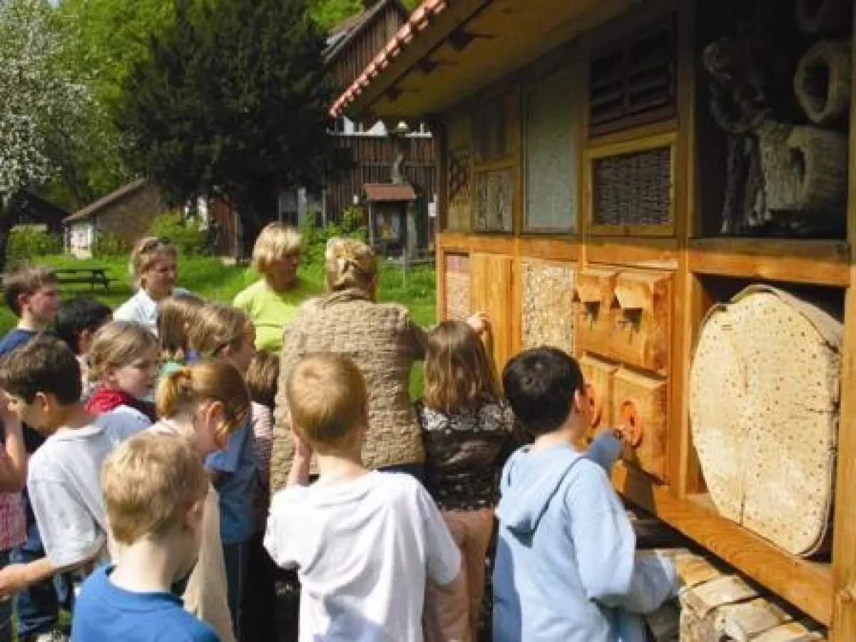 Das Insektenhotel auf NABU Gut Sunder