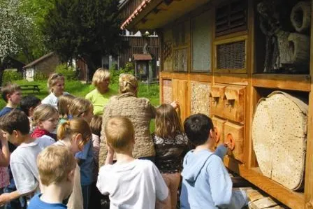 Ferienfreizeit in der Südheide Bild: Ferienfreizeit in der Südheide