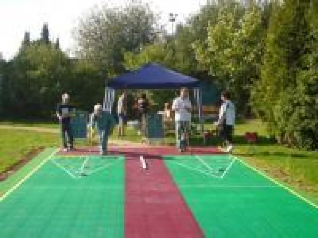 Shuffleboard