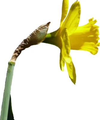 Bild: Neue Dekotipps für Ostern und den Frühlingsanfang