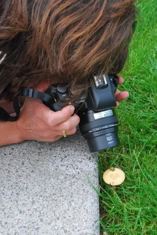 Bild: Fotografie-Workshop zum Thema Bildgestaltung in Frankfurt