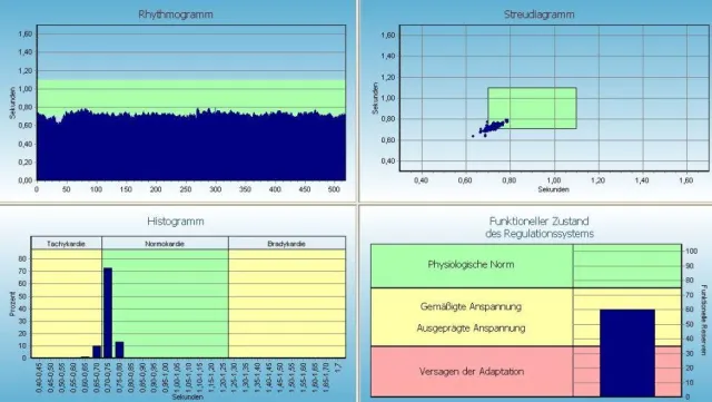 Bild: HRV-Analyse bei der Gesundheitsmesse in Rockenhausen - großer Andrang am Stand der Medical Biophysics GmbH