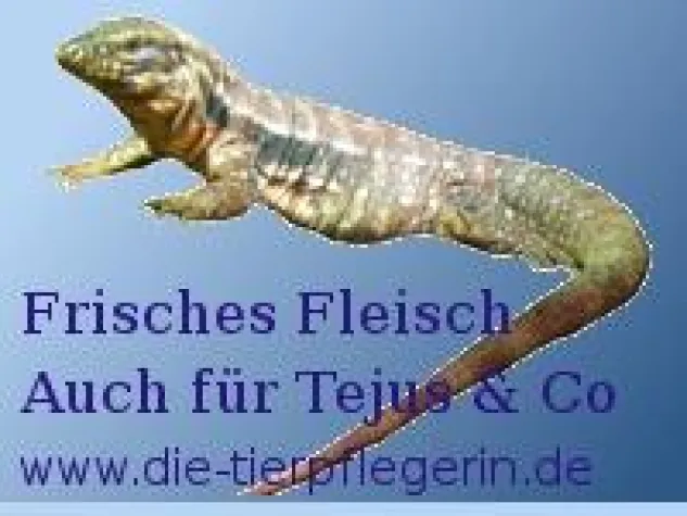 Bild: Katzenfutter für Reptilien - Risiko?