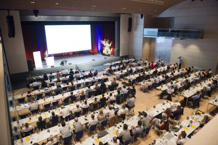 Bild: Brücke zwischen zwei Welten