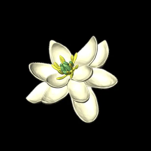 Wie Blüten vor 100 Millionen Jahren ausgesehen haben Bild: Wie Blüten vor 100 Millionen Jahren ausgesehen haben