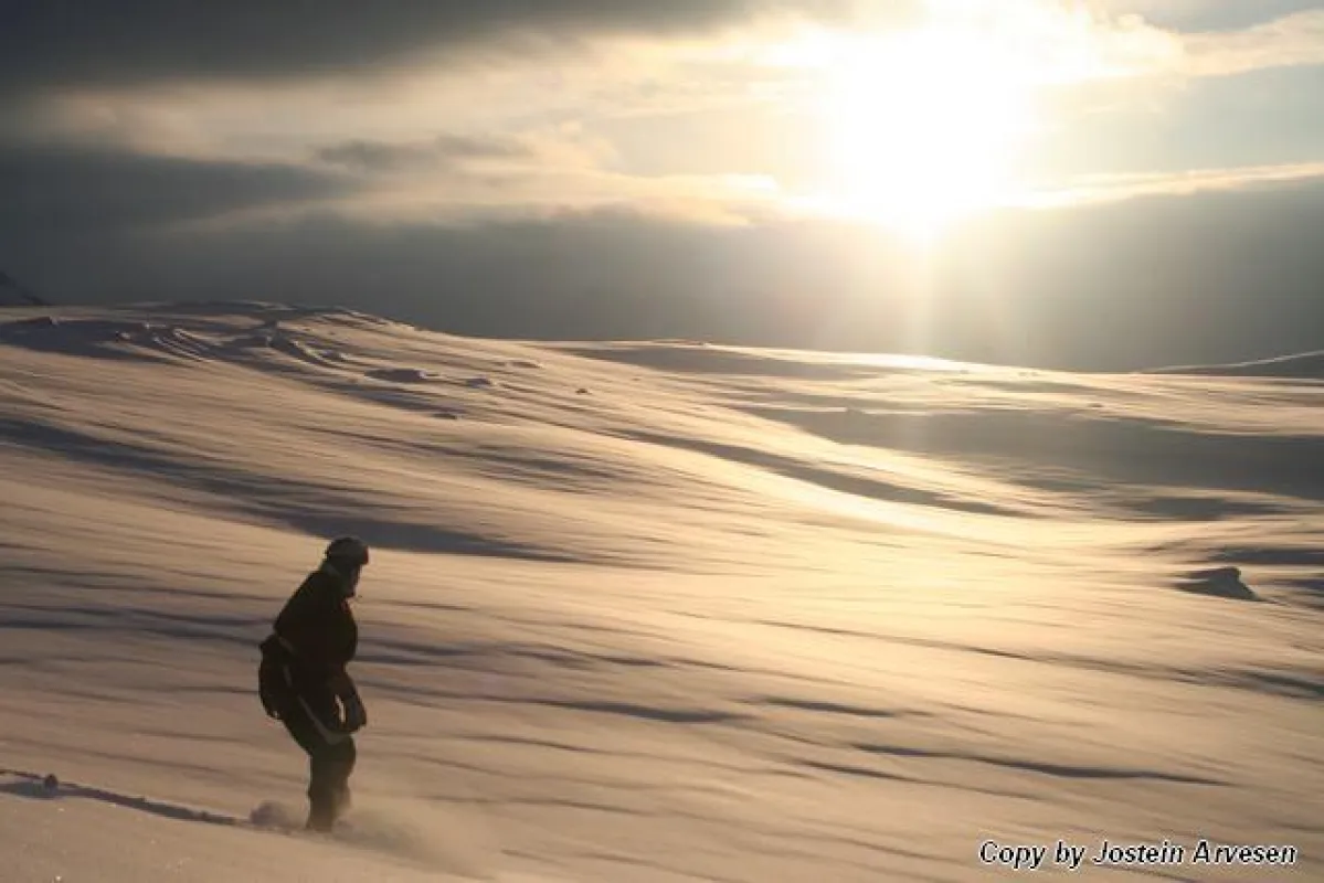 Skifahren in Nordnorwegen / Foto: Jostein Arvesen, Engenes, Norwegen