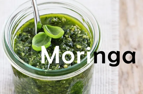 Bild: Moringa – dieses Superfood macht den Smoothie grün