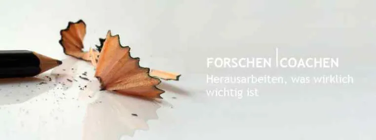 Bild: Die Holzhauerei mit erweitertem Angebot: Forschen und Coachen