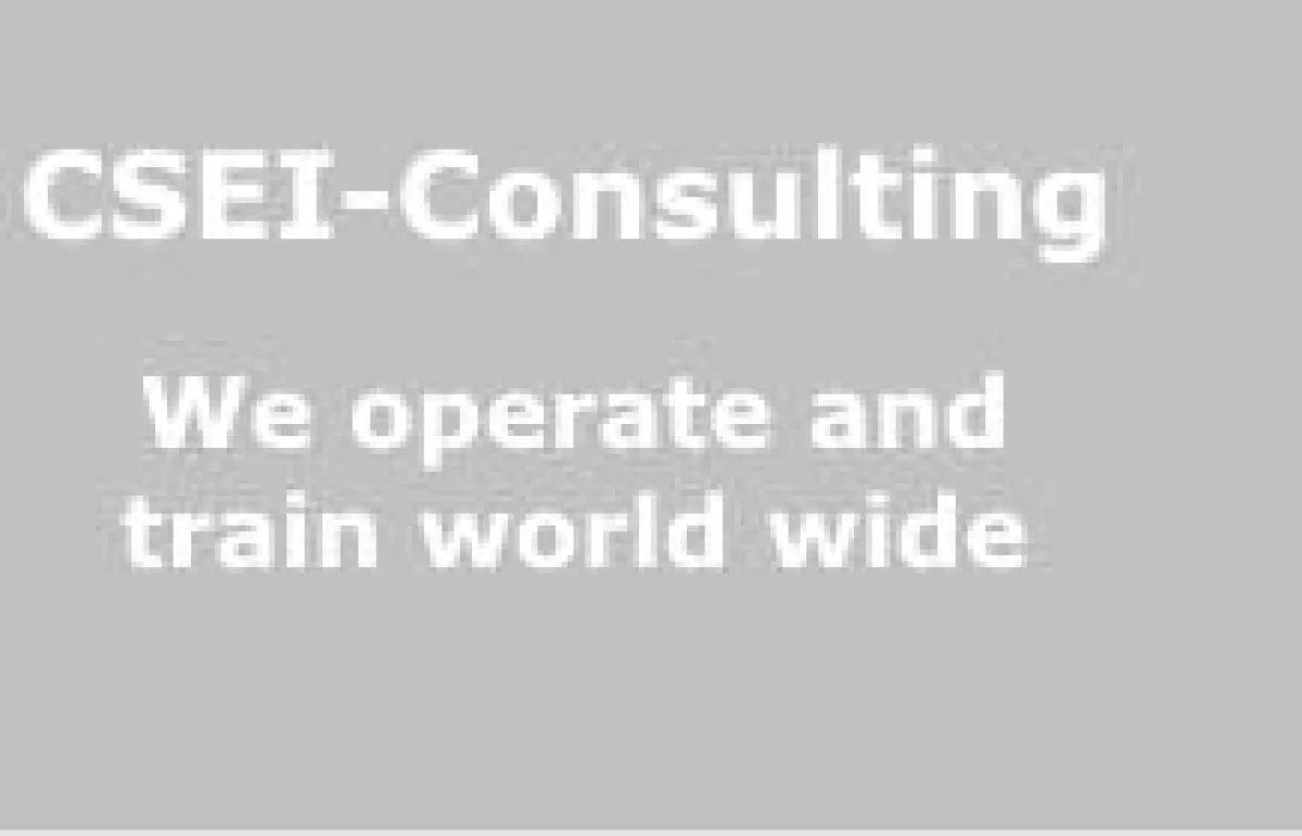 CSEI-Consulting - Globale Praxis-Beratung und Seminare im Einkauf-
