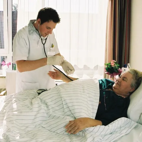 Bild: Bundesfreiwilligendienst beim IB